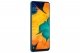 Samsung Galaxy A30 pictures