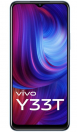 vivo Y33T - Characteristics, specifications and features