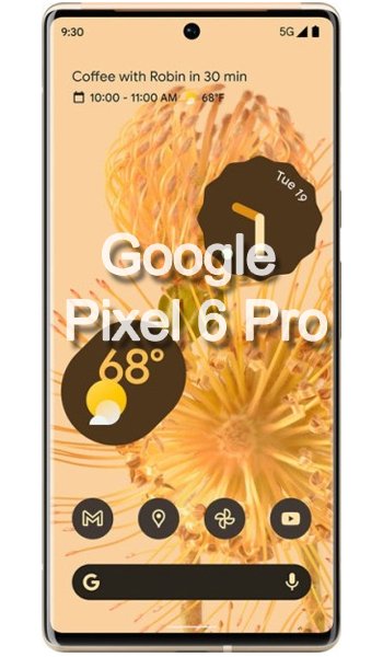 Google Pixel 6 Pro fiche technique