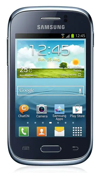 Samsung Galaxy Young S6310 antutu score